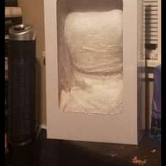 Plus size ivory lace wedding dress - Picture 1 of 8